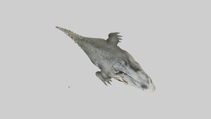 Crocodile Jaws VR / AR / low-poly