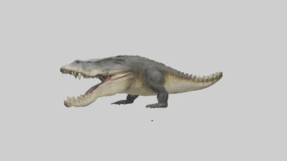 Crocodile Jaws VR / AR / low-poly