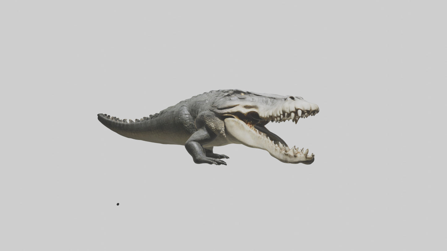 Crocodile Jaws VR / AR / low-poly