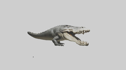 Crocodile Jaws VR / AR / low-poly