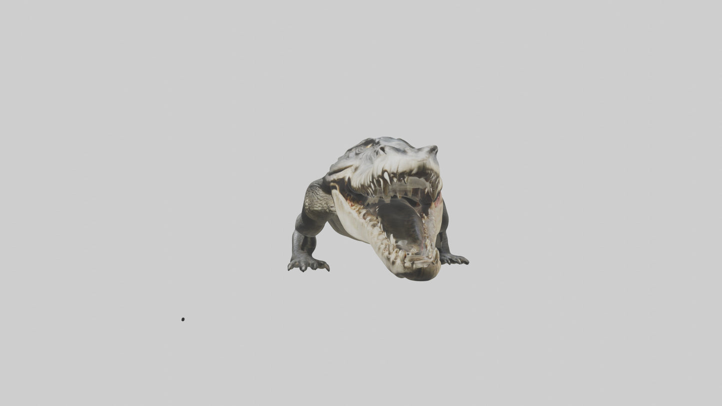 Crocodile Jaws VR / AR / low-poly