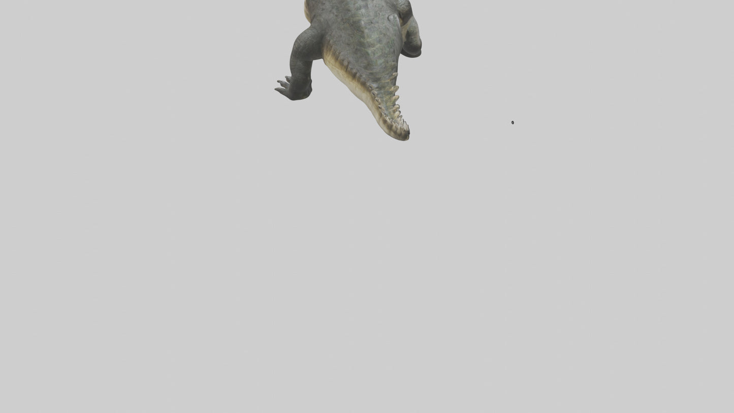 Crocodile Jaws VR / AR / low-poly