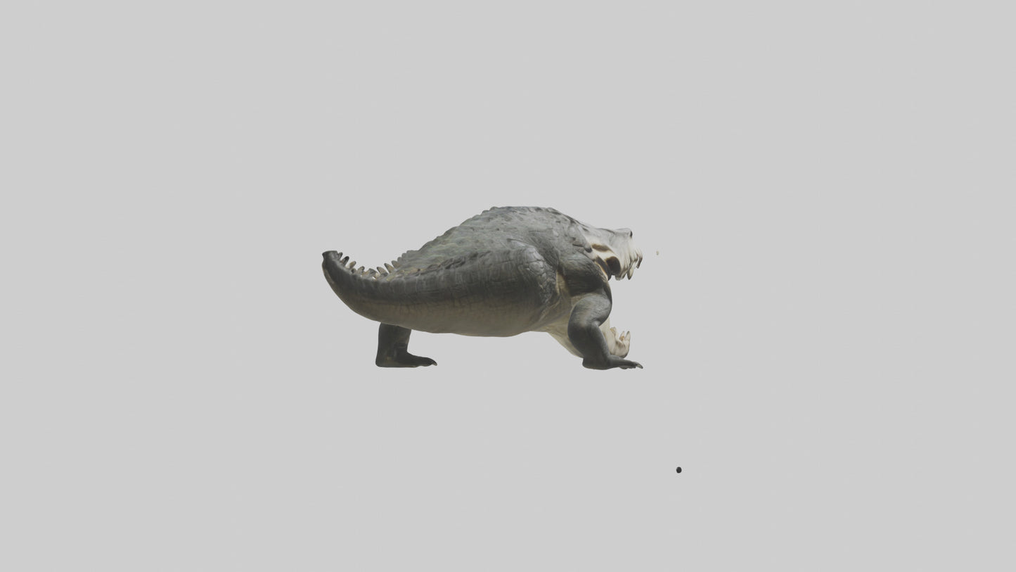 Crocodile Jaws VR / AR / low-poly