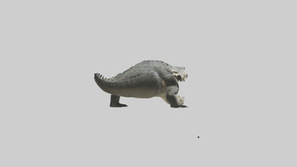 Crocodile Jaws VR / AR / low-poly
