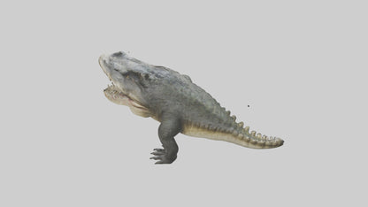 Crocodile Jaws VR / AR / low-poly