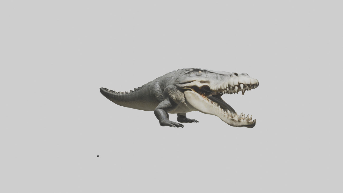 Crocodile Jaws VR / AR / low-poly
