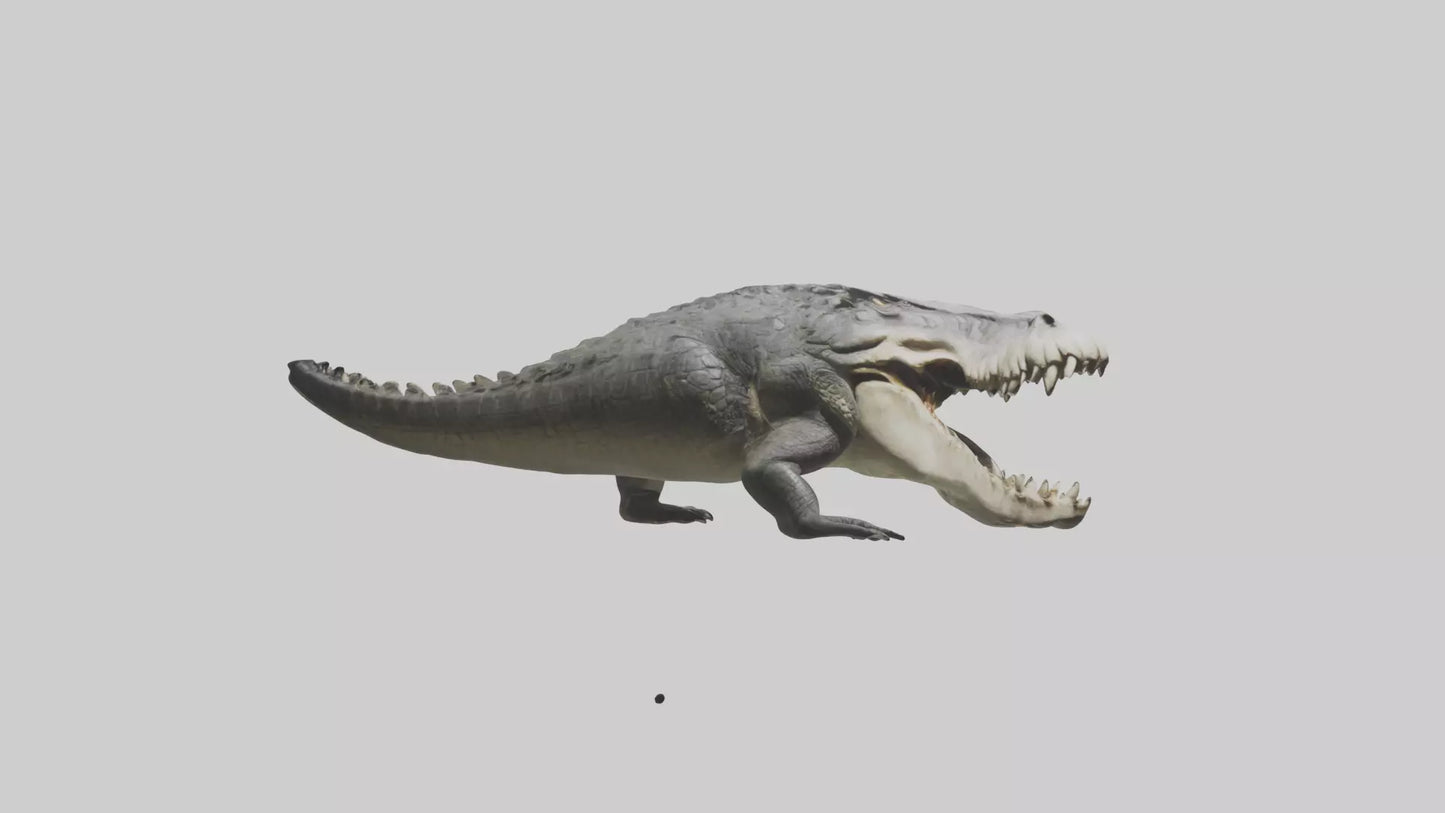 Crocodile Jaws VR / AR / low-poly