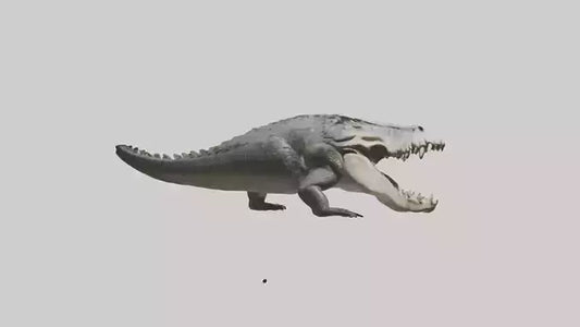 Crocodile Jaws VR / AR / low-poly
