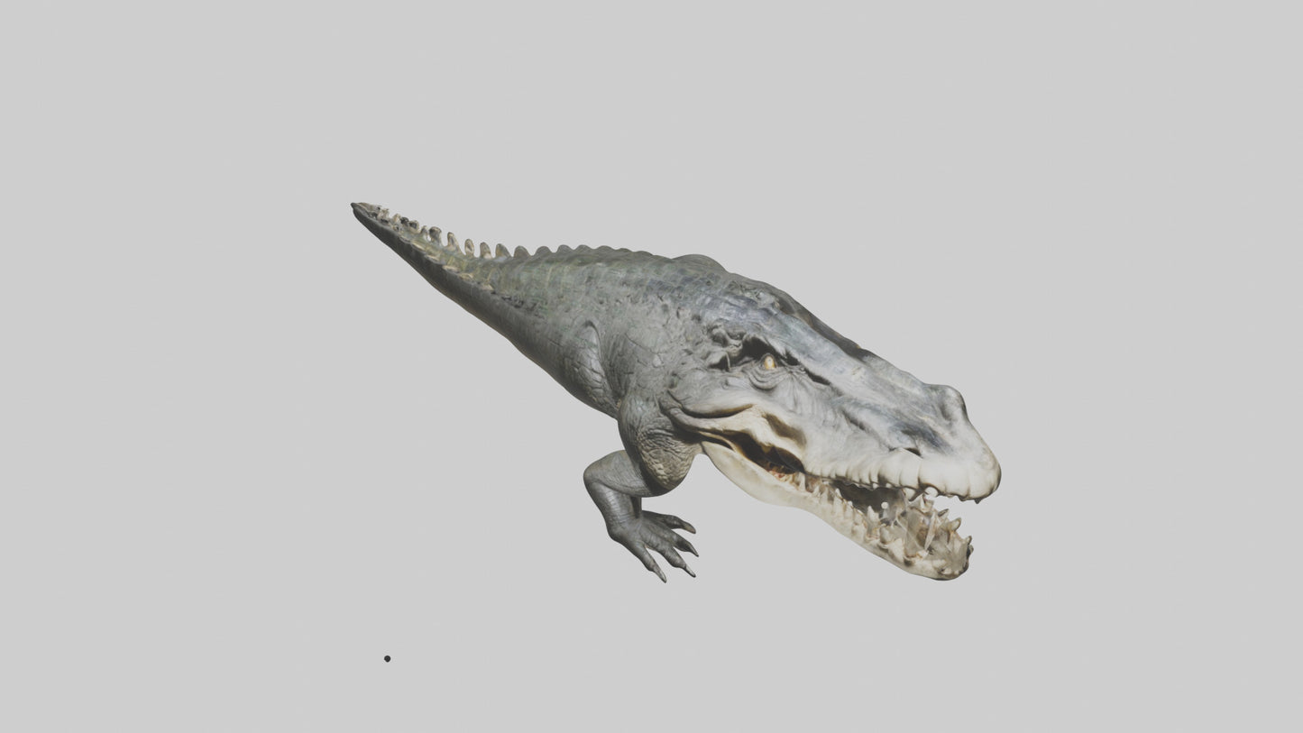 Crocodile Jaws VR / AR / low-poly
