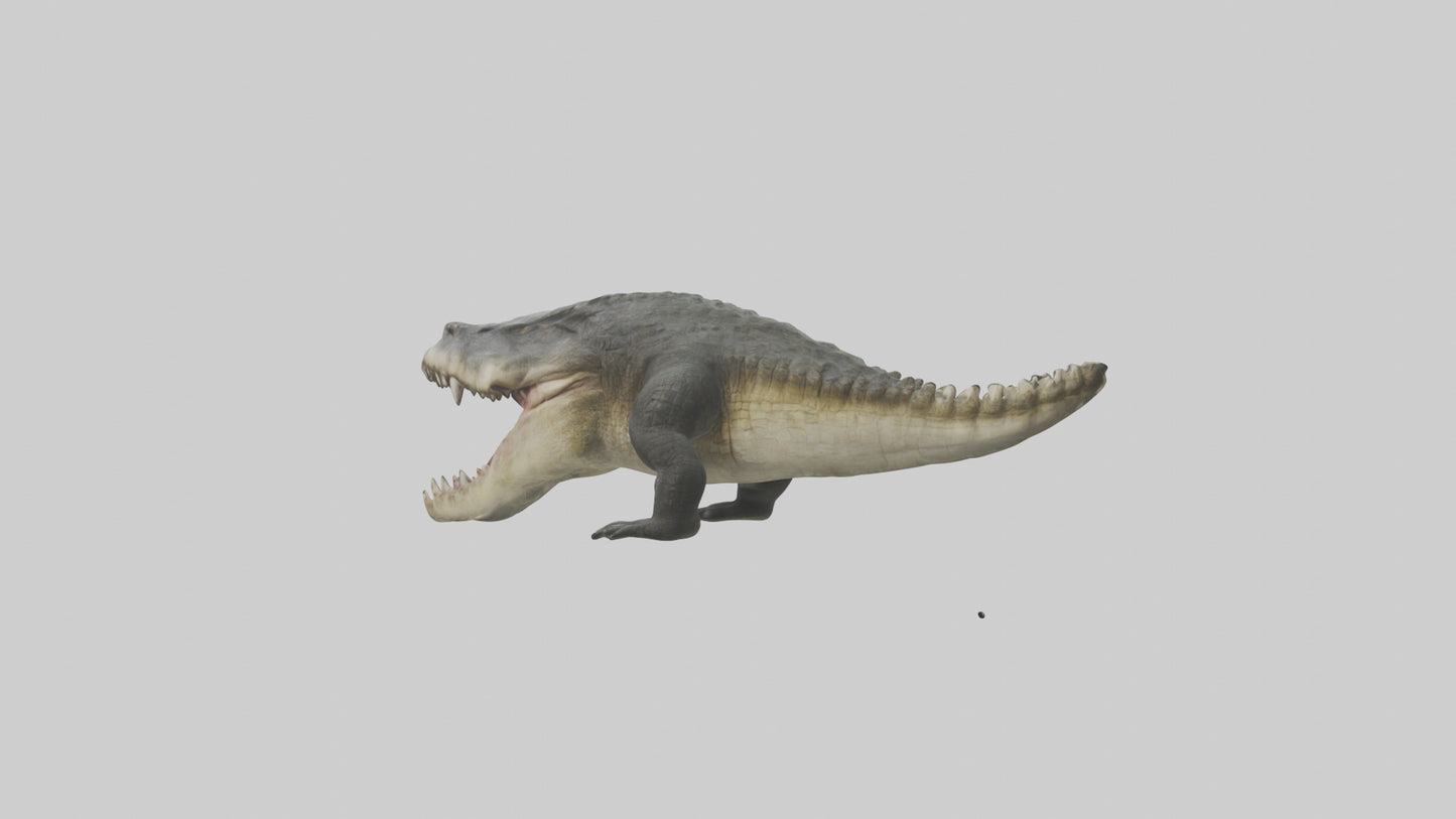 Crocodile Jaws VR / AR / low-poly