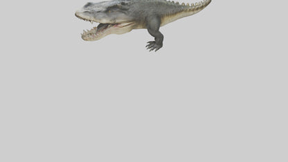 Crocodile Jaws VR / AR / low-poly