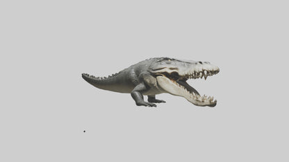 Crocodile Jaws VR / AR / low-poly