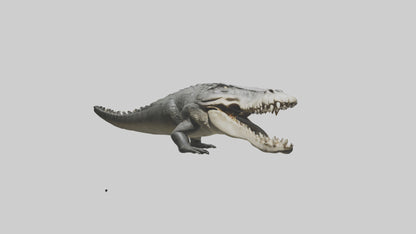 Crocodile Jaws VR / AR / low-poly