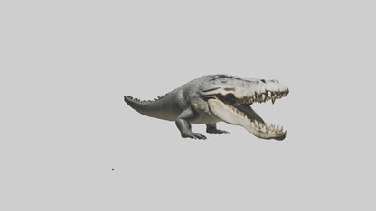 Crocodile Jaws VR / AR / low-poly