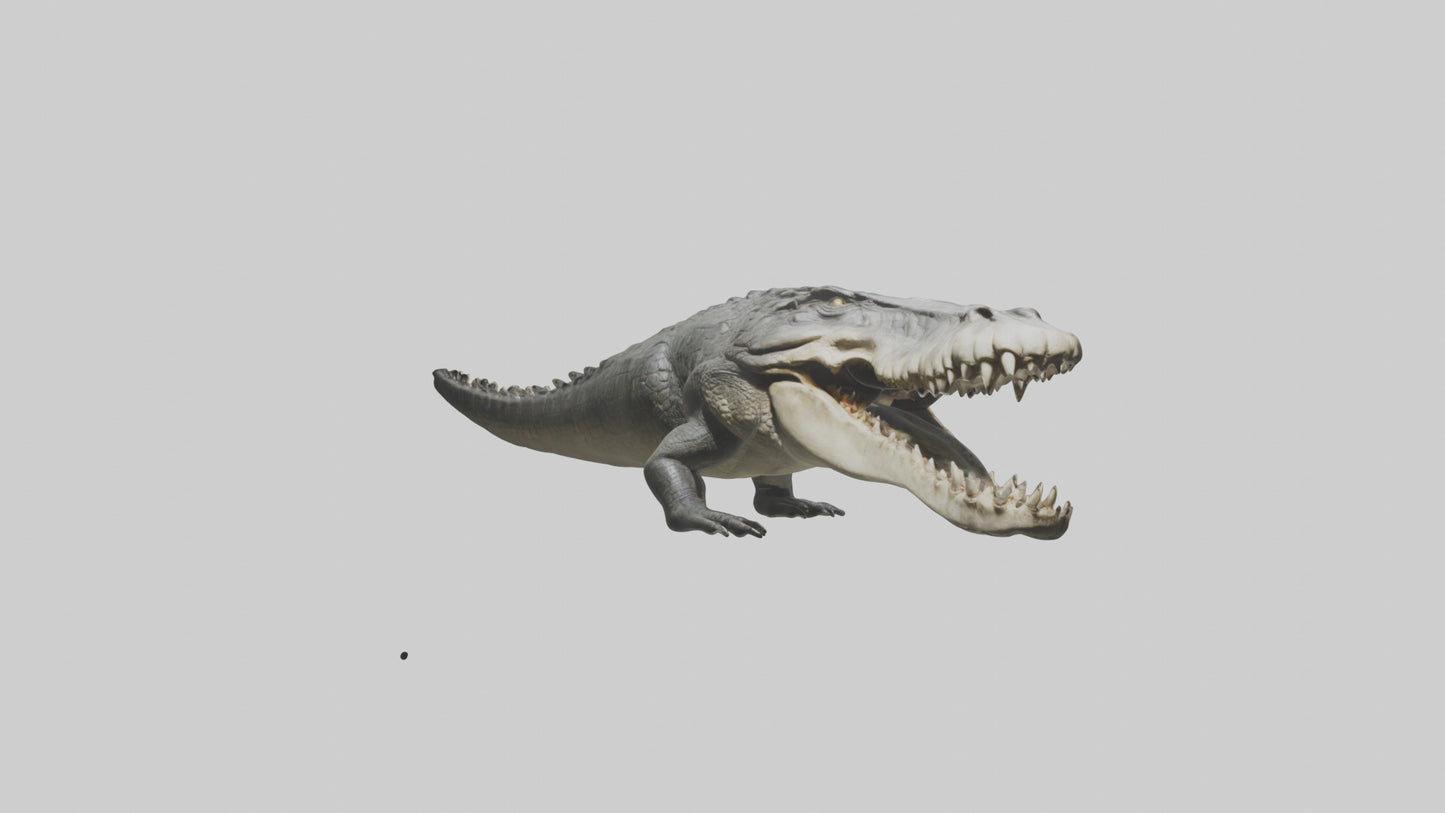 Crocodile Jaws VR / AR / low-poly