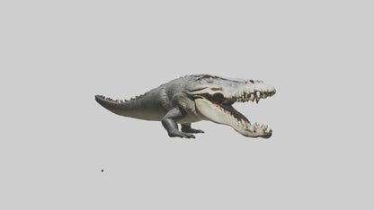 Crocodile Jaws VR / AR / low-poly