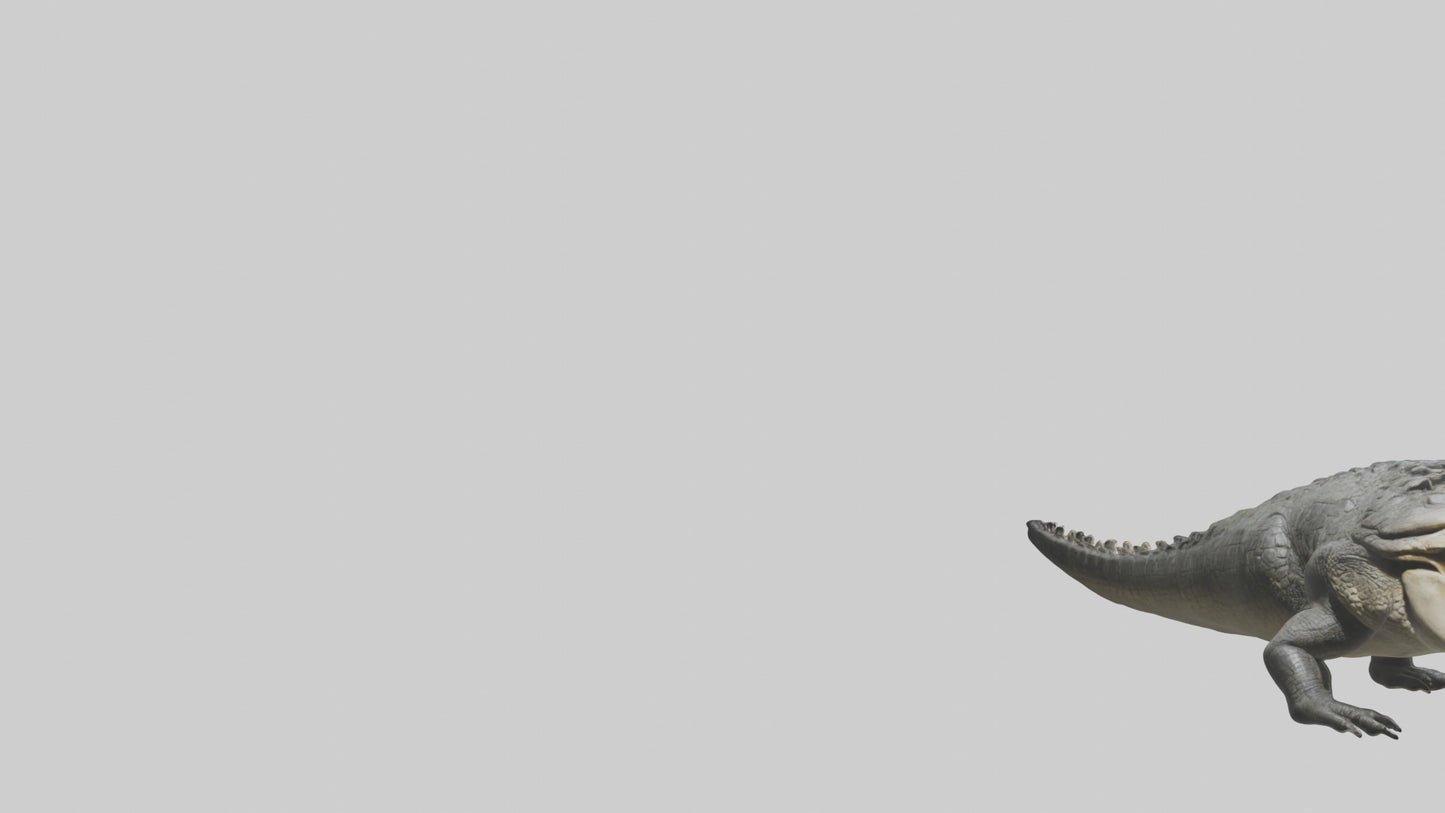 Crocodile Jaws VR / AR / low-poly
