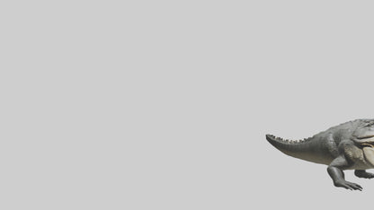 Crocodile Jaws VR / AR / low-poly