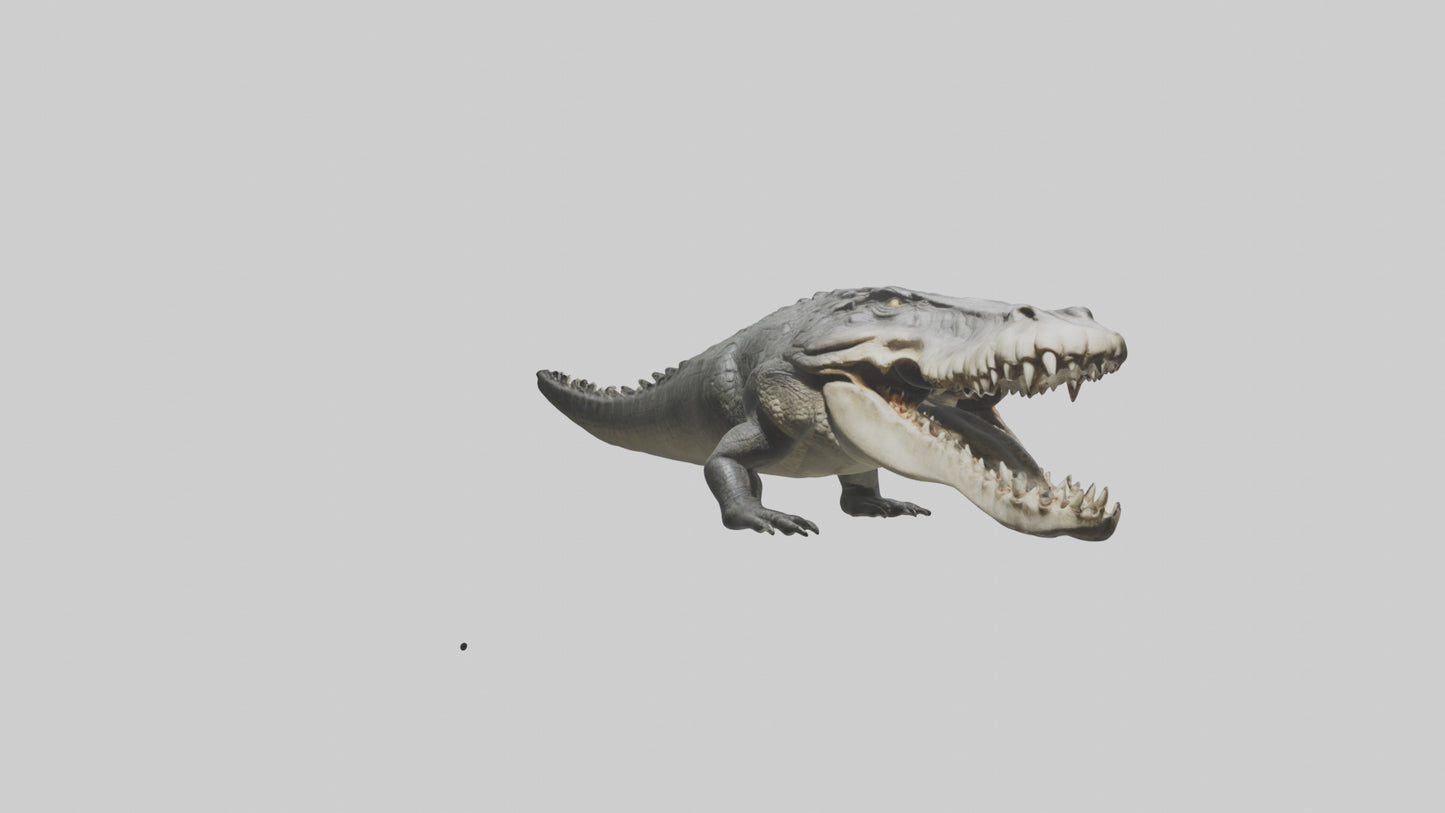 Crocodile Jaws VR / AR / low-poly