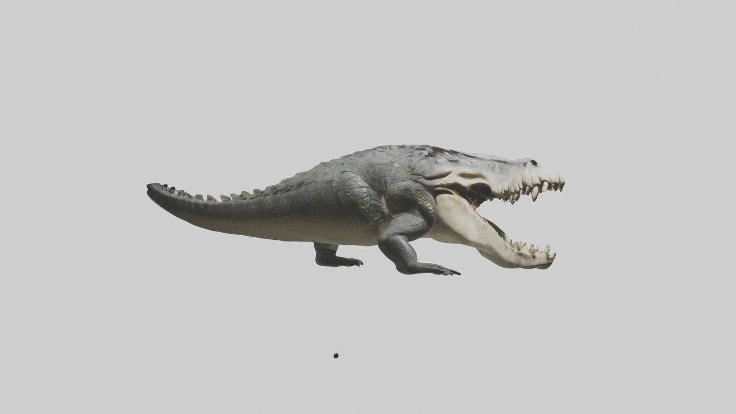 Crocodile Jaws VR / AR / low-poly