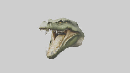 3D model Crocodile Jaws Model VR / AR / low-poly