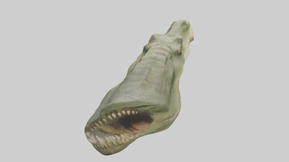 3D model Crocodile Jaws Model VR / AR / low-poly