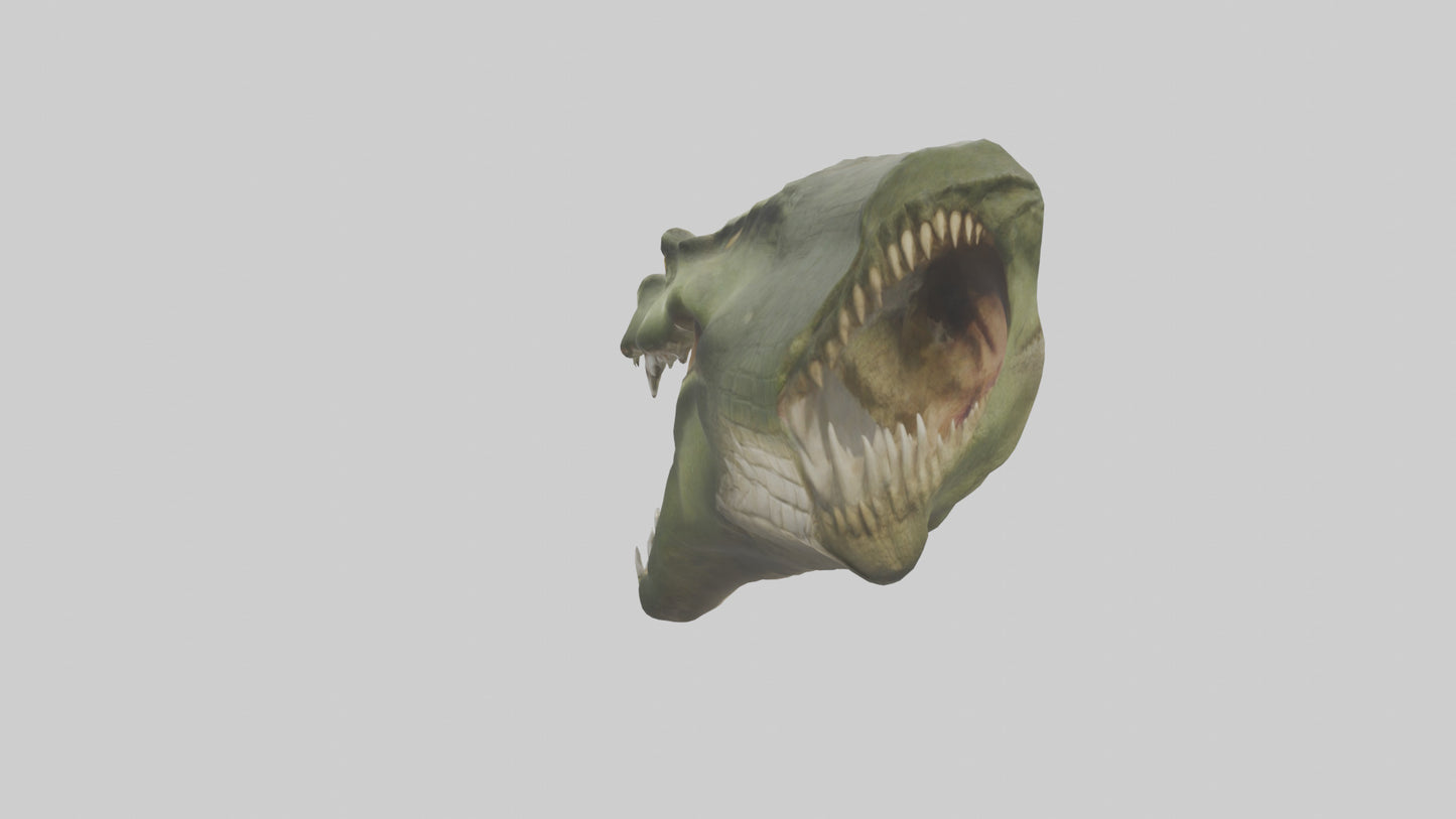 3D model Crocodile Jaws Model VR / AR / low-poly