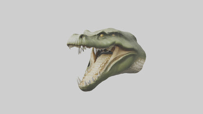 3D model Crocodile Jaws Model VR / AR / low-poly