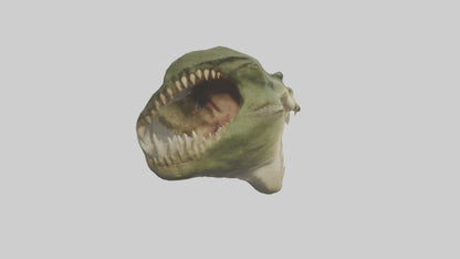 3D model Crocodile Jaws Model VR / AR / low-poly