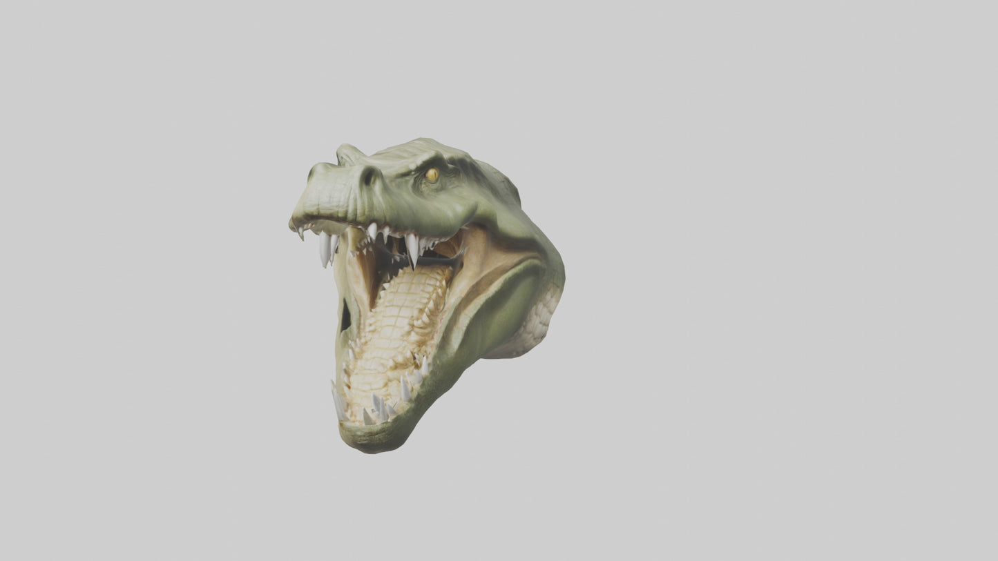 3D model Crocodile Jaws Model VR / AR / low-poly