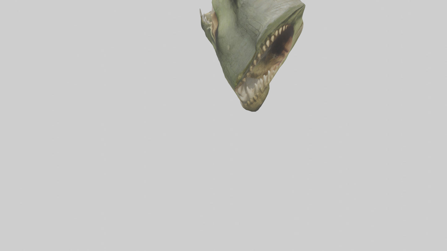 3D model Crocodile Jaws Model VR / AR / low-poly