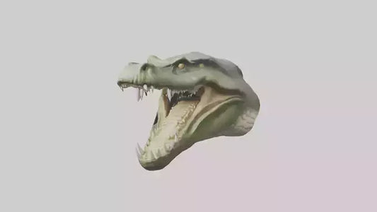 3D model Crocodile Jaws Model VR / AR / low-poly