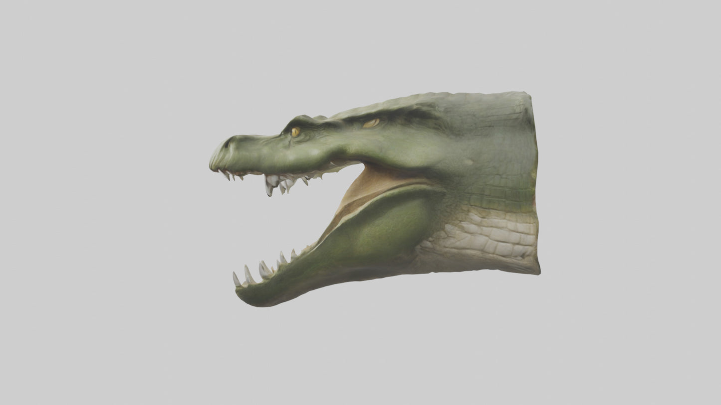 3D model Crocodile Jaws Model VR / AR / low-poly