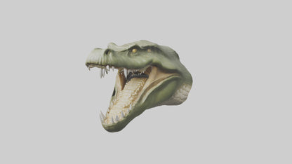 3D model Crocodile Jaws Model VR / AR / low-poly