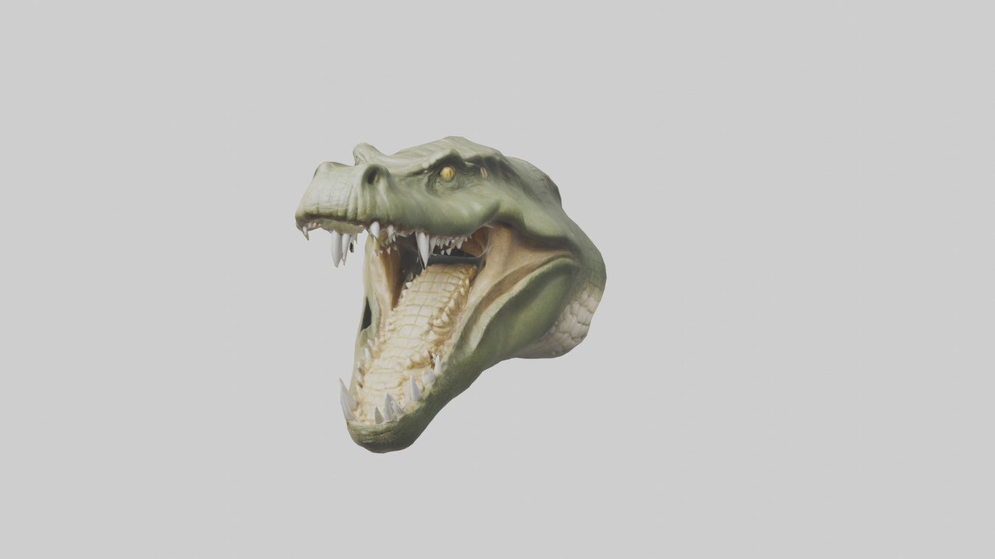 3D model Crocodile Jaws Model VR / AR / low-poly