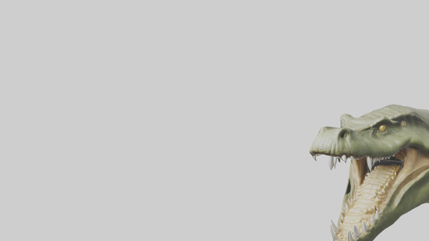 3D model Crocodile Jaws Model VR / AR / low-poly
