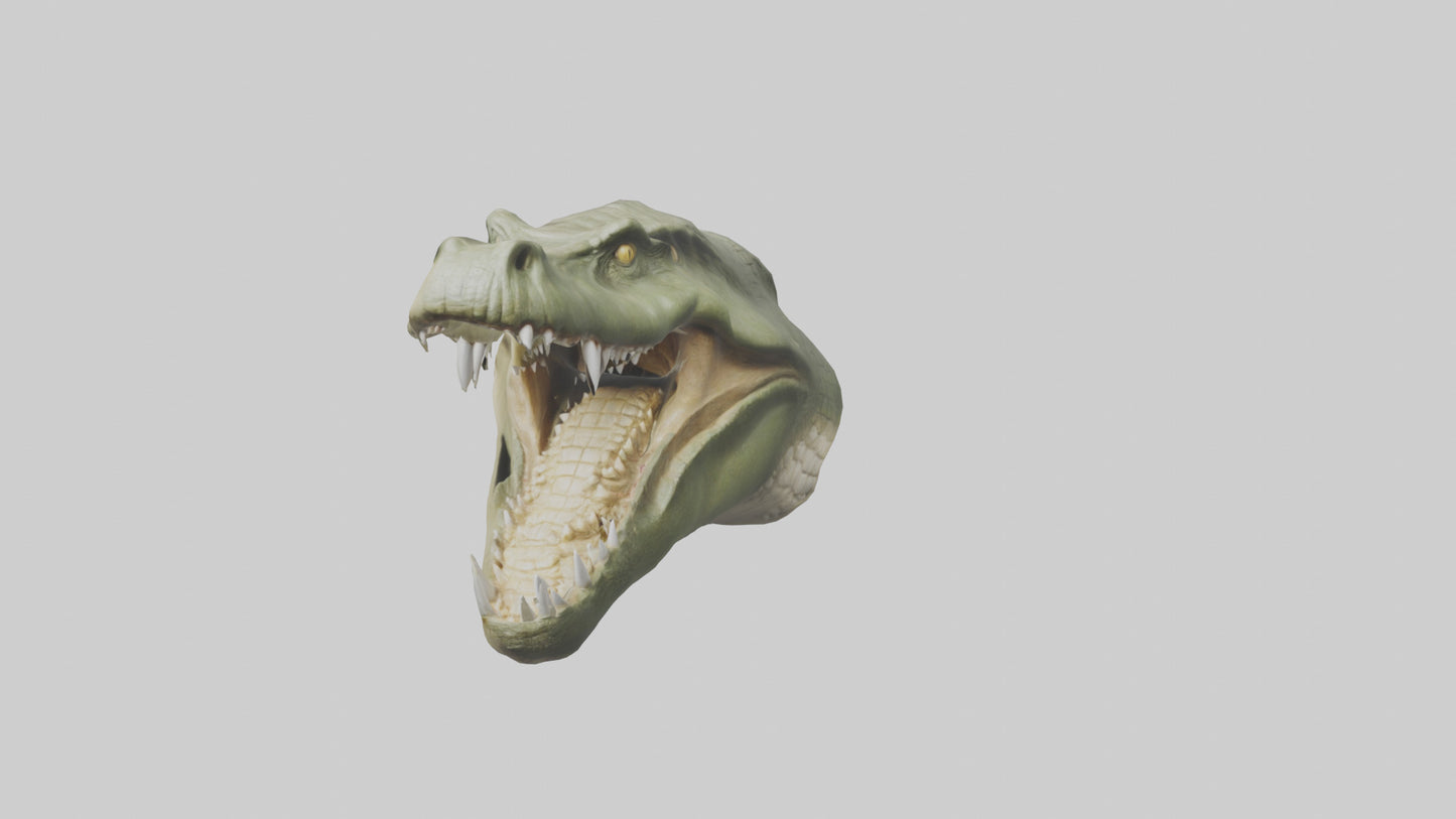3D model Crocodile Jaws Model VR / AR / low-poly