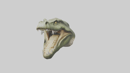 3D model Crocodile Jaws Model VR / AR / low-poly