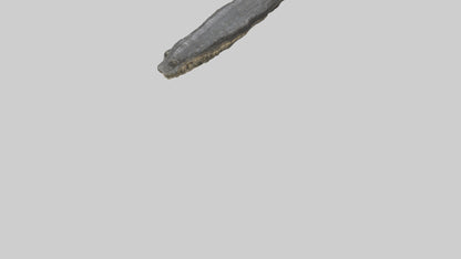 3D model Crocodile Rib VR / AR / low-poly
