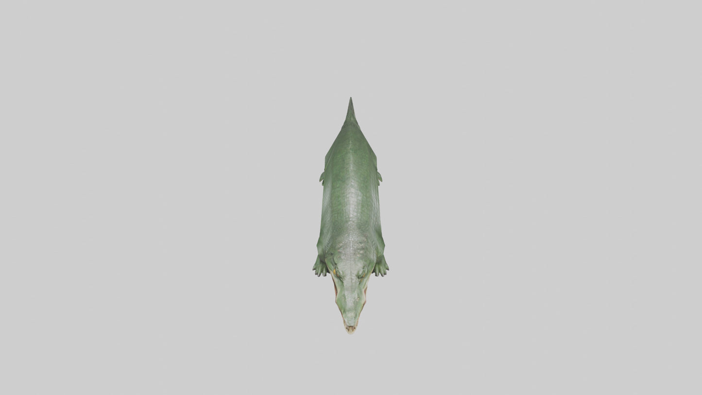 3D model Crocodile Scales Model VR / AR / low-poly
