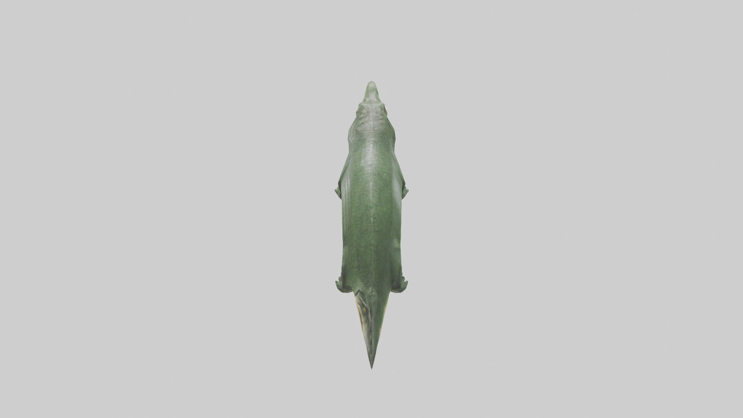 3D model Crocodile Scales Model VR / AR / low-poly