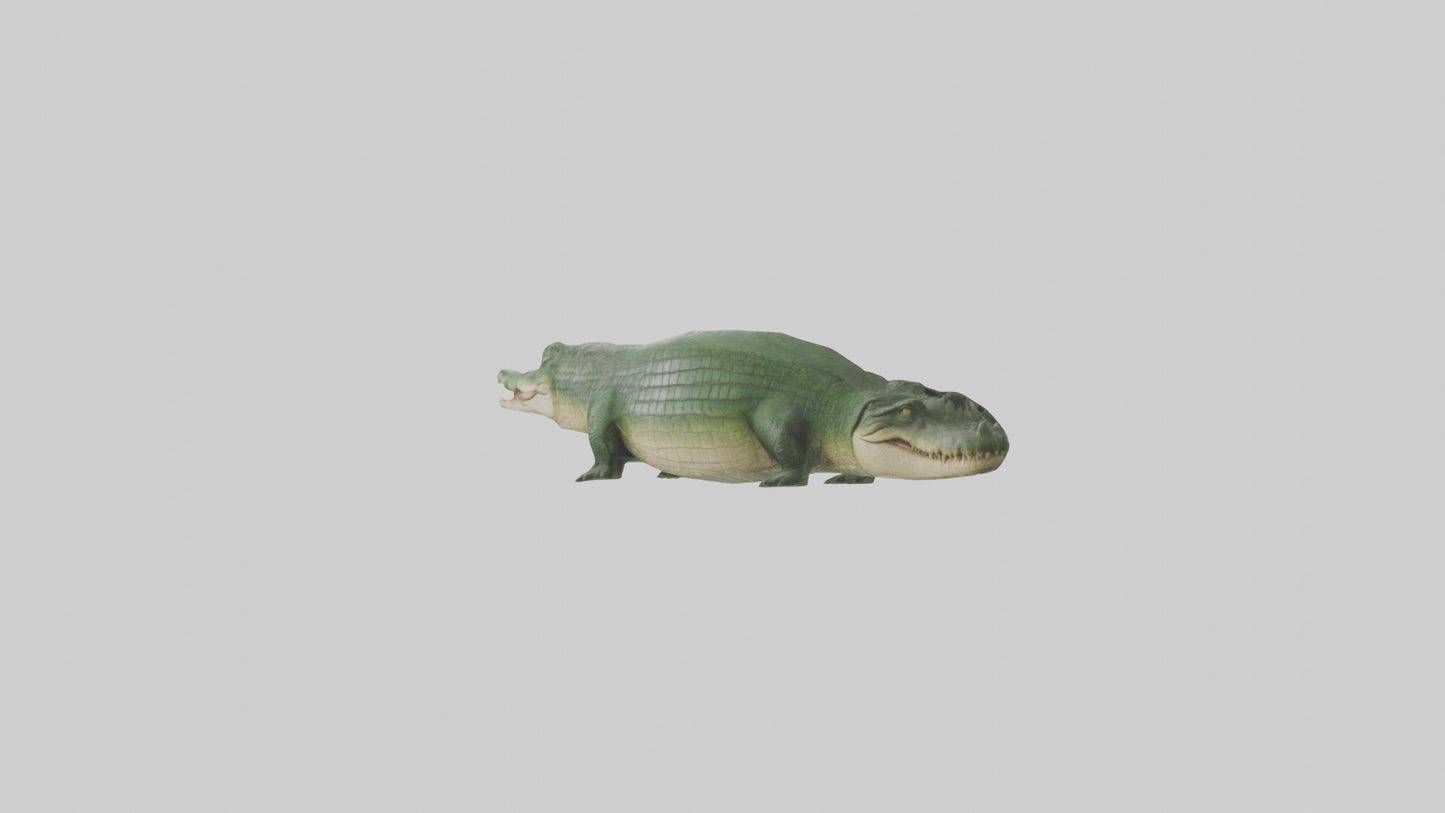 3D model Crocodile Scales Model VR / AR / low-poly