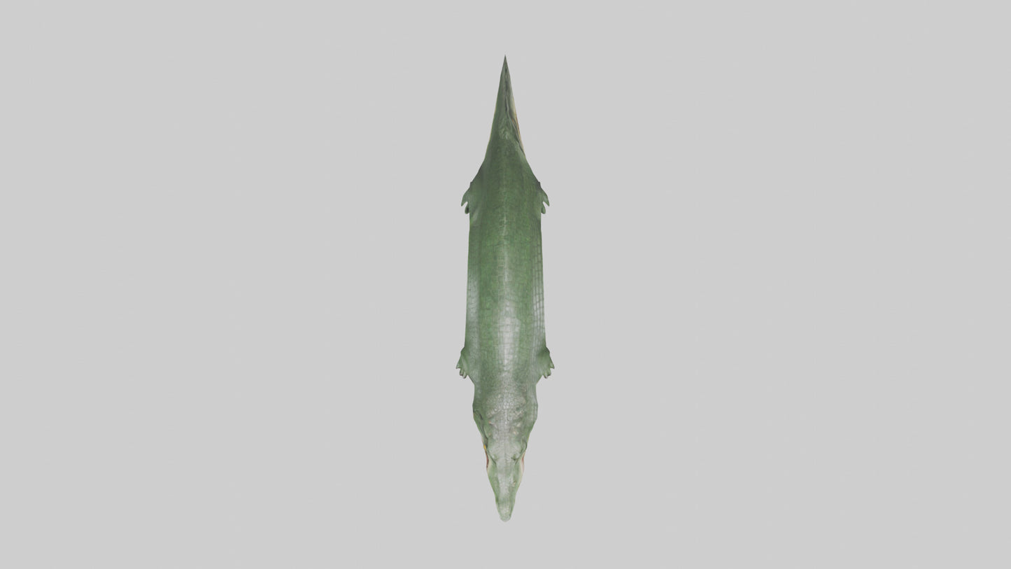 3D model Crocodile Scales Model VR / AR / low-poly