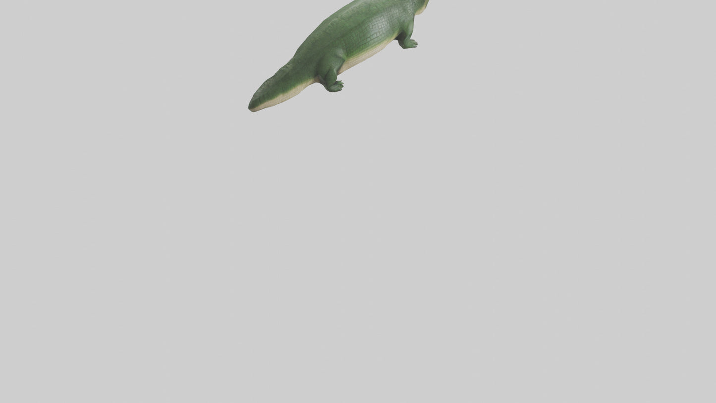 3D model Crocodile Scales Model VR / AR / low-poly