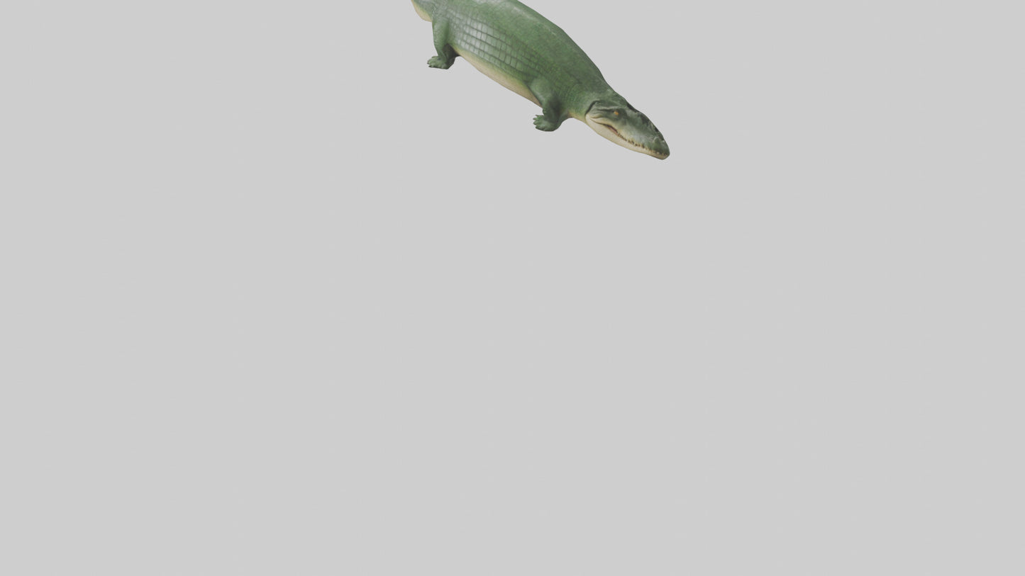 3D model Crocodile Scales Model VR / AR / low-poly