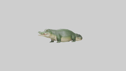 3D model Crocodile Scales Model VR / AR / low-poly