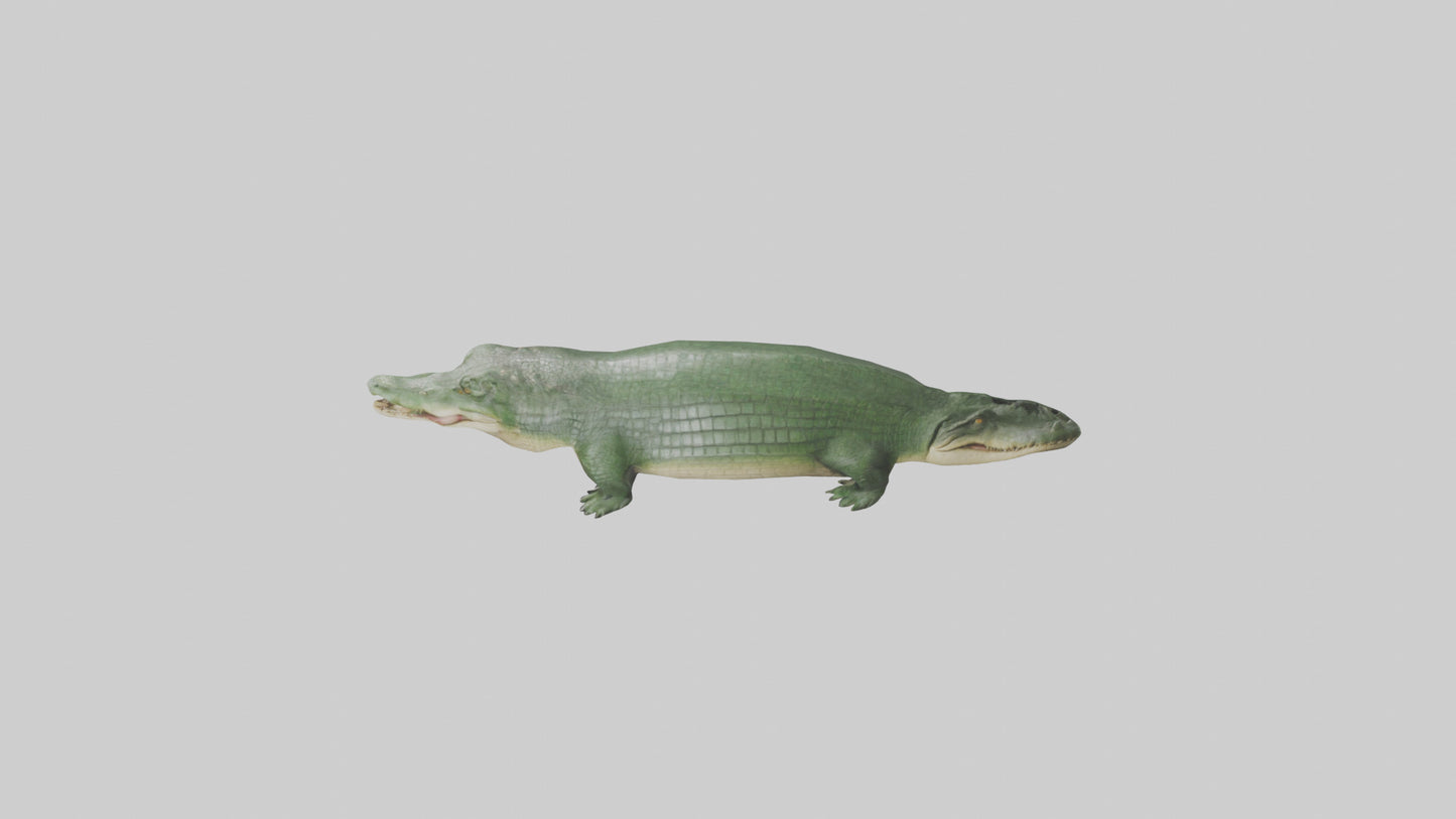 3D model Crocodile Scales Model VR / AR / low-poly