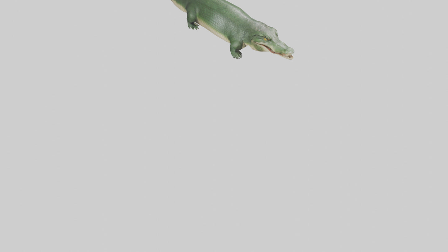 3D model Crocodile Scales Model VR / AR / low-poly