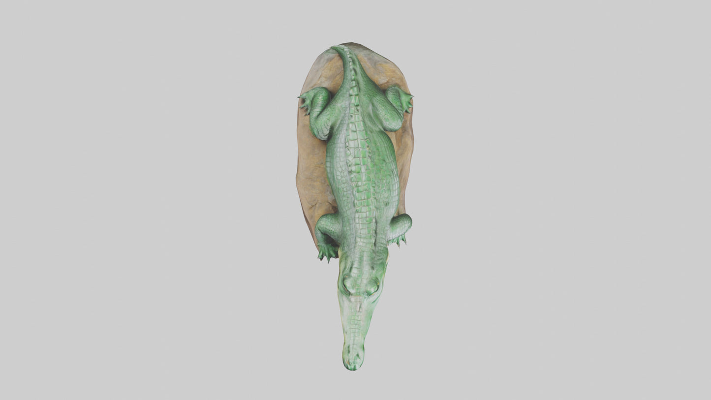 3D model Crocodile statue model VR / AR / low-poly