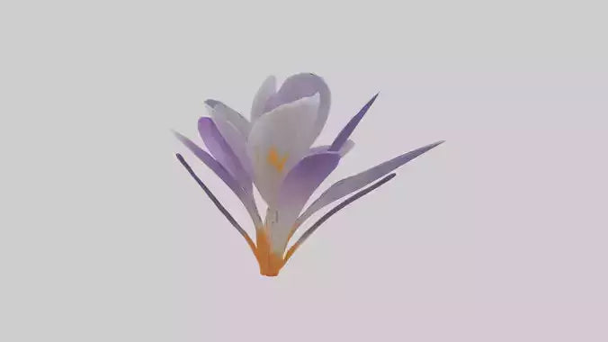 3D model Crocus flower model VR / AR / low-poly
